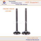 Motor Parts Inlet Valve, Motorcycle Valve Set for CD100