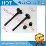 Motorcycle Part Engine Valve for CB110/Dakar/Biz/Ybr/Strom/Skua/Crypton