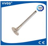 Auto Exhaust Valve for VW 027109611b