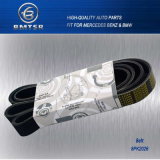 Belt, Engine Belt, V Ribbed Belt for Auto Parts