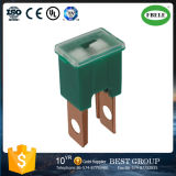 All Fuse Links Auto Fuse Max Fuse High Quality Blade Fuse with Lamp