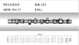 Auto Camshaft for Peugeot (0801. P1)