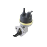 Auto Engine Parts Fuel Pump Pl8018 for Peugeot/Renault