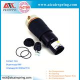 Auto Part Brand New Front Air Spring for Porsche Cayenne