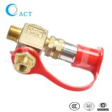 CNG LPG Gas Control Valve for Cars NGV1 Filling Valve