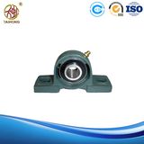 Pillow Block Bearing for Diesel Eninge