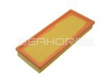 53006317 High Quality Professional Air Filter for Peugeot/Citron/Renaul Car