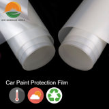 Removable Car Sticker Vinyl Film Car Paint Protection Film with High Quality