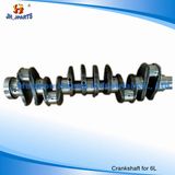 Auto Engine Parts Crankshaft for Cummins 6L 6D