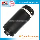 Rear Air Suspension Shock Absorver Air Bag for Mercedes Benz W164 GL Class