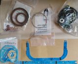 Repair Kit for Deutz Engine Bf4l914