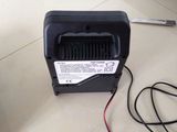 6V 2A Car Battery Charger for Sale