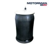 Air Bag Bellow Air Spring for Heavy Duty Ridewell 103589245c 910-19p390 W01-358-9245