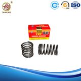 Valve Spring Diesel Engine Spare Parts