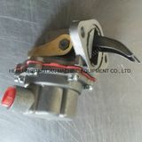 Diesel Engine Fuel Pump for FL511