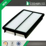 Reliable Suppliers Automotive Air Filter with 10 Years Experience