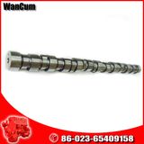 Hot Sale Cummins Diesel Engine Parts M11 Camshaft 3895805