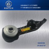 China Factory Oe Supplier Control Arm Car Suspension for Mercedes Benz