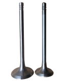 Inlet/Exhaust Valves for 912/913