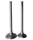 Inlet/Exhaust Valves for 912/913