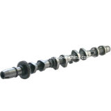 Auto Camshaft for Toyota Hilux, Hiace (1KD/2KD inlet)