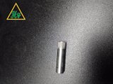 High Quality Steel/Stainless Steel Pin/Turned Parts with Knurling