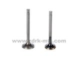 Inlet and Exhaust Valve for Boxer-Bm100-Classic/CT100