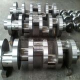Newest Technical Top Quality Diesel Engine Crankshaft for Sale