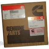 Cummins NTA855 Diesel Engine Part 3801755 4089811 3803471 Piston Ring