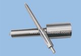 Diesel Fuel Injector Long Nozzle Bdll140s37f