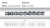 Auto Camshaft for Opel (24428752 56369057)