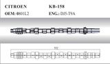 Auto Camshaft for Citroen (0801L2)