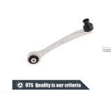 Auto Control Arm Suspension Arm Wishbone for Audi, for Skoda, for VW