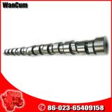 Cummins K38 Engine Parts Cummins Ccec Camshaft 3062076