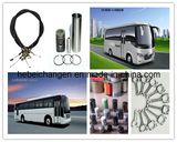 China Bus Auto Truck Engine Parts