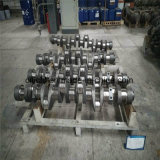 High Quality Low Price of Crankshaft From China Manufacture