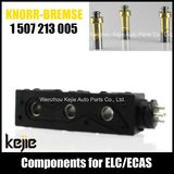 Ecas Elc Solenoid Valve Coil 1507213005 for Truck