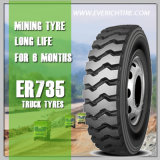 11.00r20 Budget Tire/ Truck Tires/ National Tyres with Warranty Term