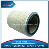 Xtsky Auto Part High Quality Auto Air Filter (OE: 395773)