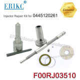 Erikc F00rj03510 Bosch Diesel Injektor Repair Kits F 00r J03 510 Nozzle Dlla153p2210+F00rj02035 Repair Kit for Injector 0445120261