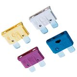 Plug Type Fuse - Auto Fuse