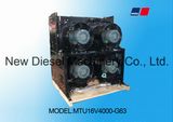 Water Cooled Copper Radiator of Mtu16V4000