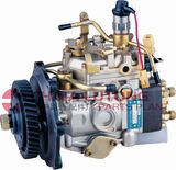 Fuel Injection Pump Np-Ve4/11f1800lnp2371 for Jx493zq