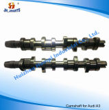 Auto Spare Part Camshaft for Volkswagen/Audi Bmm/BPW/Brc A3/A4 2.0tdi
