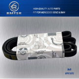 Belt, Engine Belt, V Ribbed Belt for Auto Parts