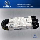 Belt, Engine Belt, V Ribbed Belt for Auto Parts