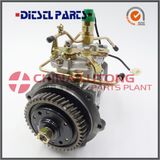 Fuel Injection Pump for Engine Jmc Jx493q1/Pd2009