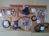 Repair Kit for Engine Tcd2013 L06 2V