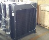 Cummins Water Copper Radiator for Generator Set (NTA855-G4)
