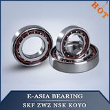 Bearing for Instrument Magnetic Bearing